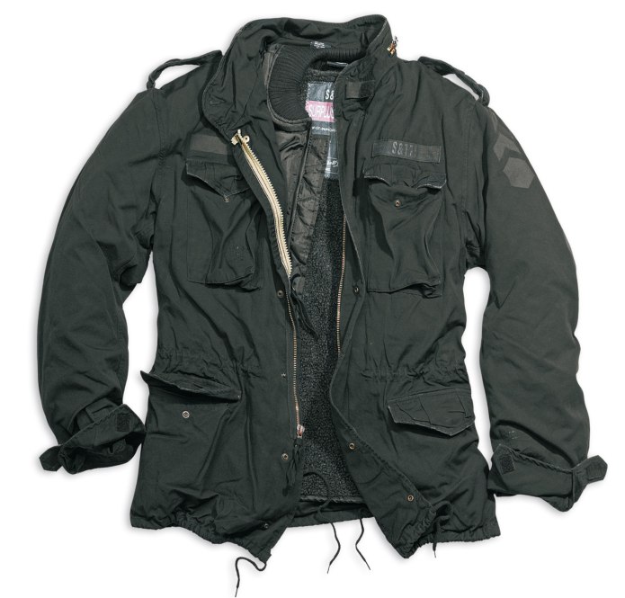 Куртка мужская Scanndi dm19098a