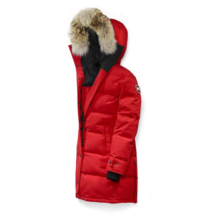Canada Goose пуховик Shelburne