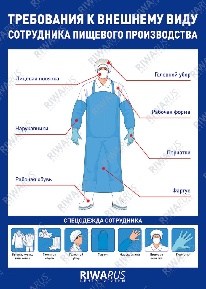Правильно внешний. Экипировка сотрудника пищевого производства. Экипировка сотрудника пищевого производства плакат. Правила одевания спецодежды на пищевом производстве. Одежда персонала, пищевого производства.