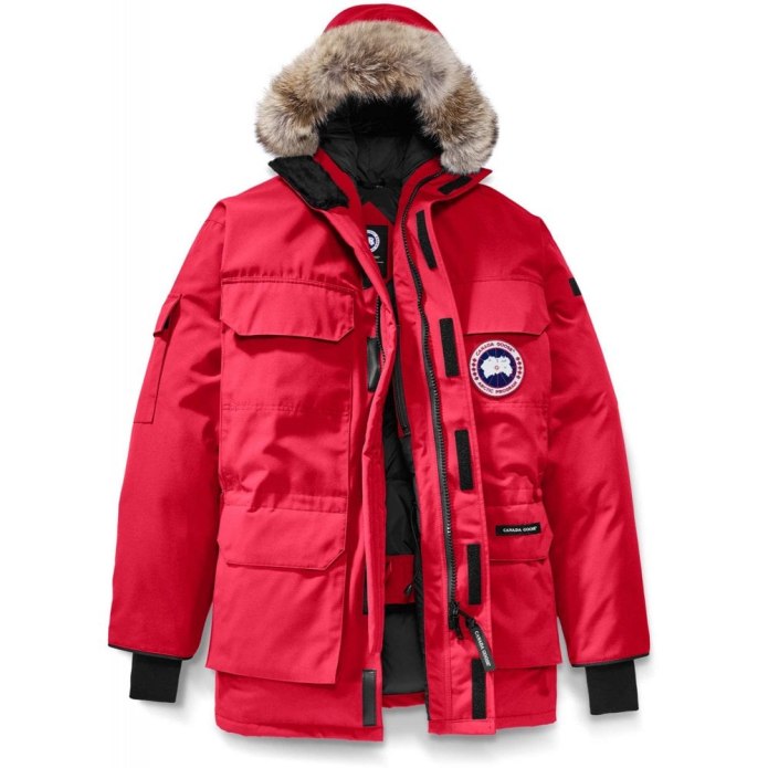 Canada Goose Expedition Parka мужская
