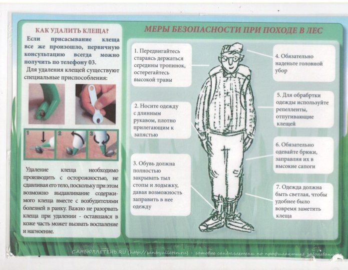 Одежда для похода верх