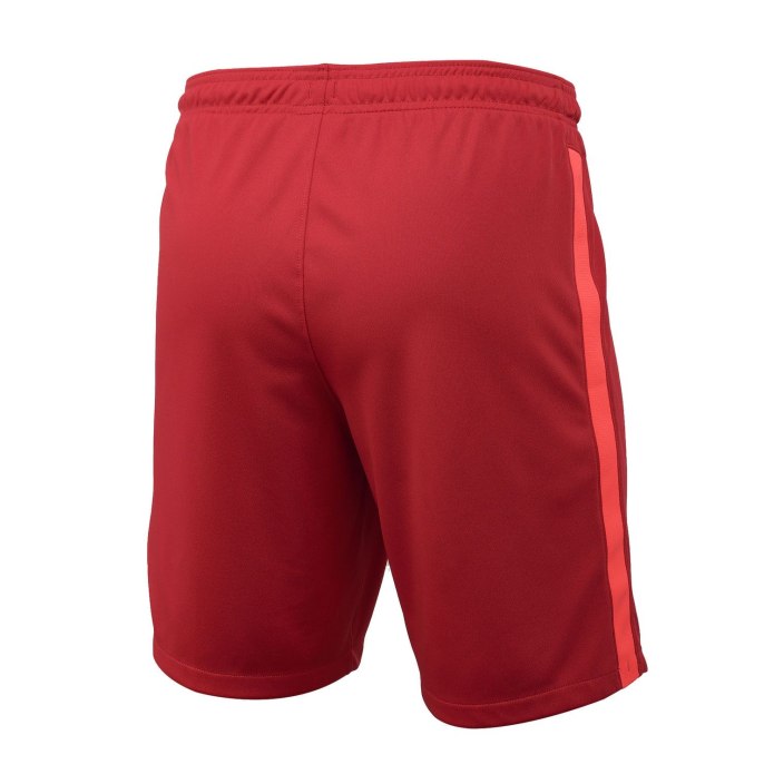 Шорты Craft Pro Hypervent Split shorts