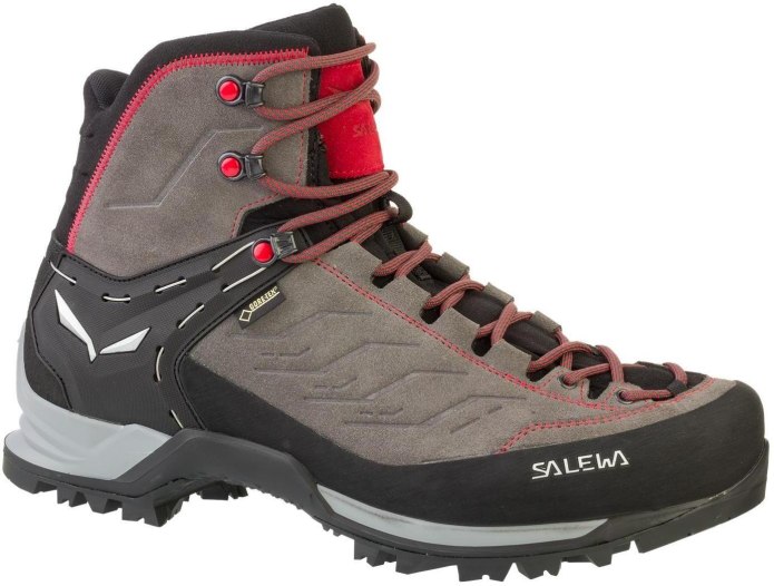 Salewa «MTN Trainer Mid GTX»