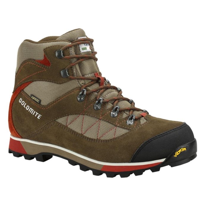 Ботинки Dolomite Zernez GTX