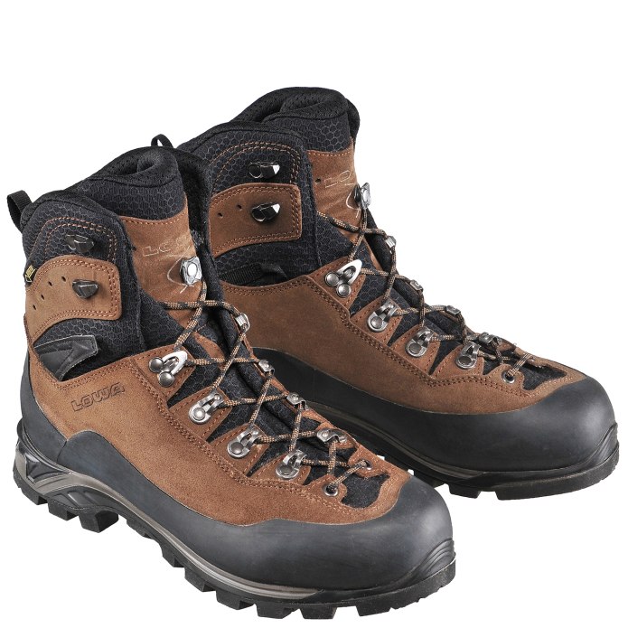 Ботинки Cevedale Pro GTX Lowa