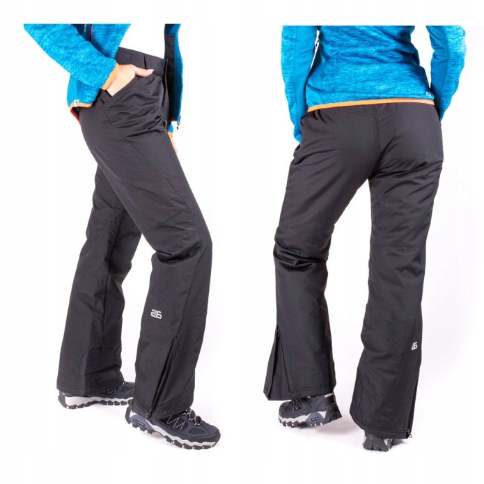 Брюки беговые Bjorn Daehlie 2020-21 Flow for women Black