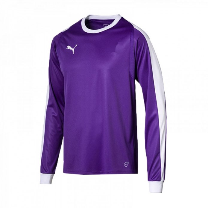 Свитер вратаря Puma Liga GK 70344210 SR