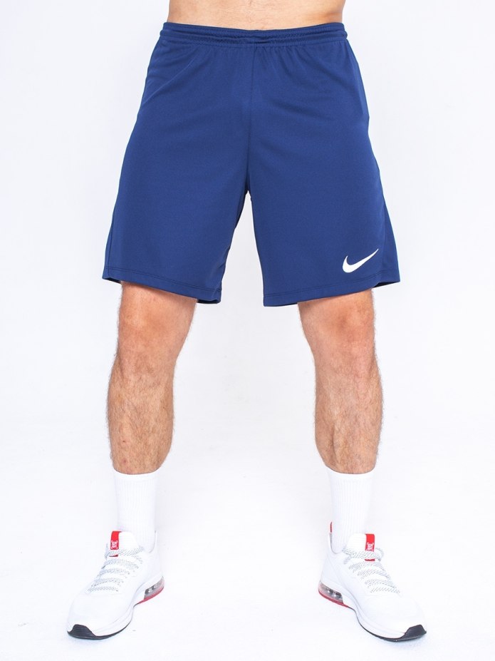 Шорты Nike SB Sunday