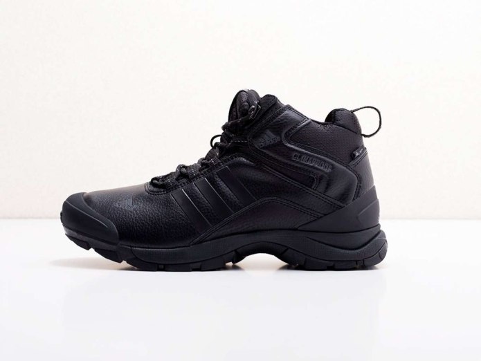 Зимние кроссовки adidas Terrex Winter