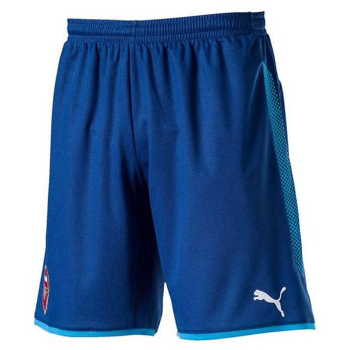 Puma / шорты Run Woven 7" short