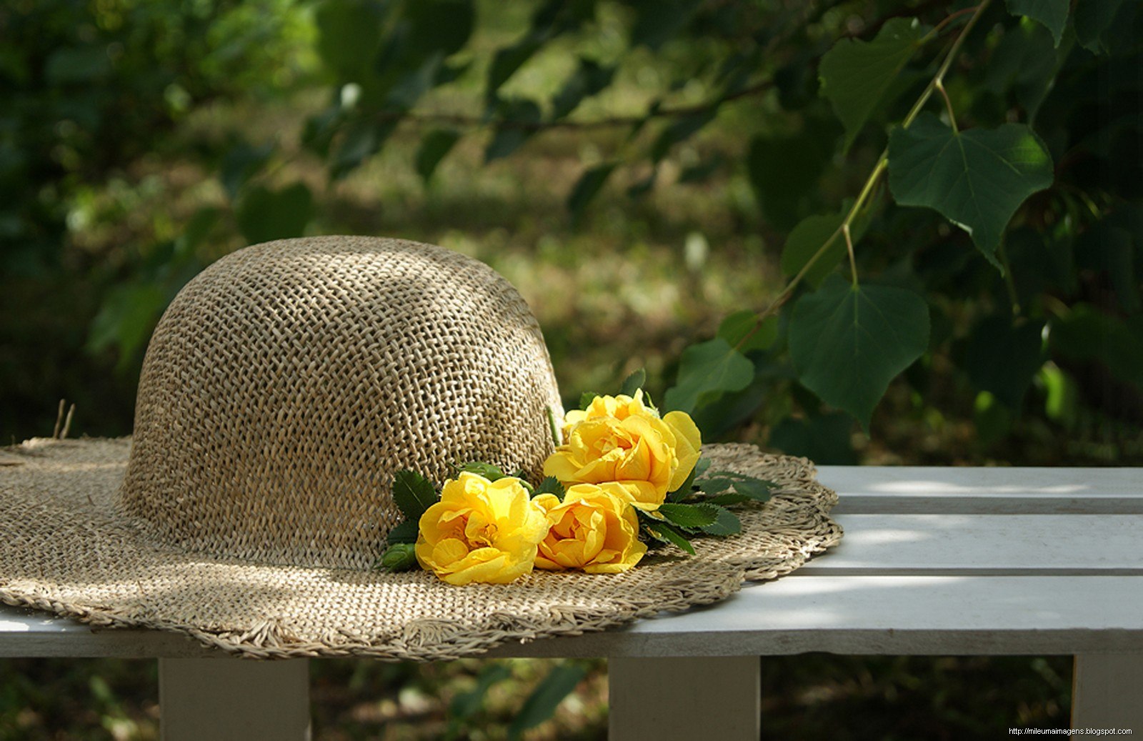 Шляпа на воде. Шляпка цветок. Шляпка с цветами, соломенная. Летние шляпки с цветами. Летняя шляпа с цветами.