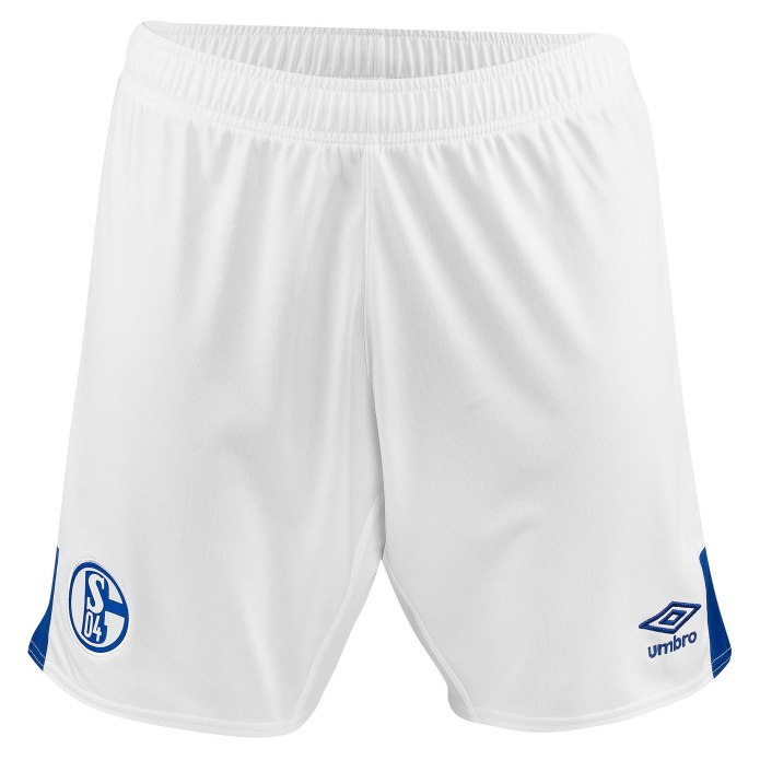 Шорты Inter Nike