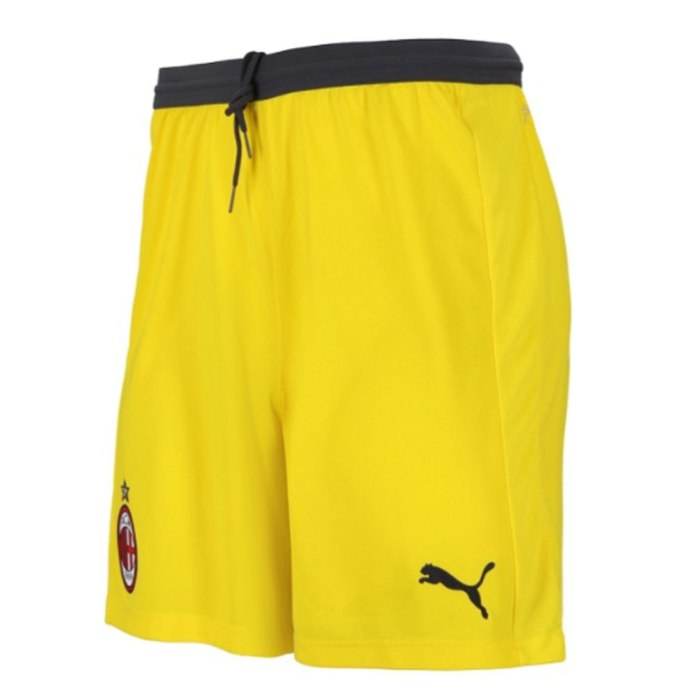 Шорты ty shorts Brandit