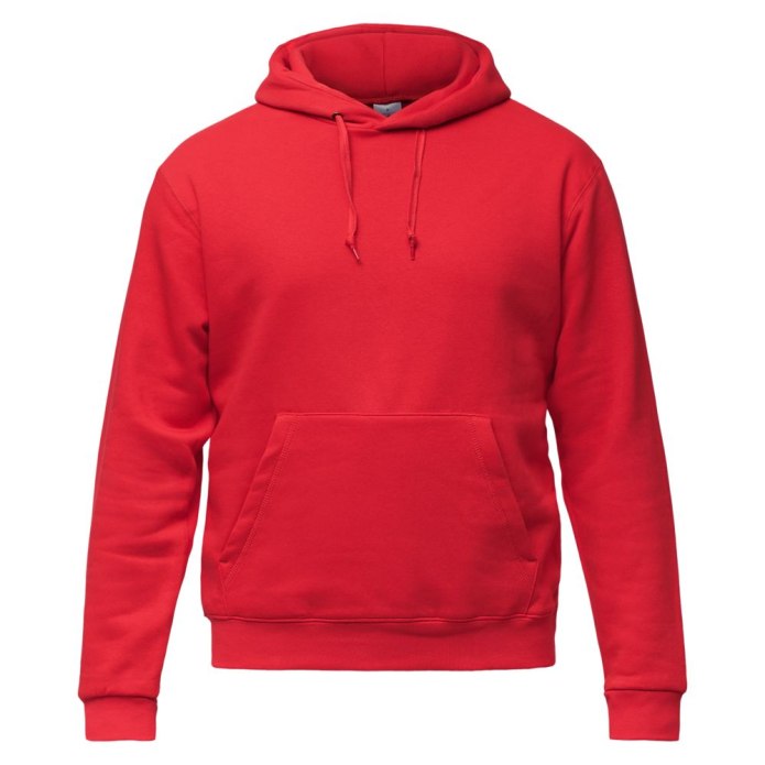 Толстовка мужская Swix STARX Hoody Promo