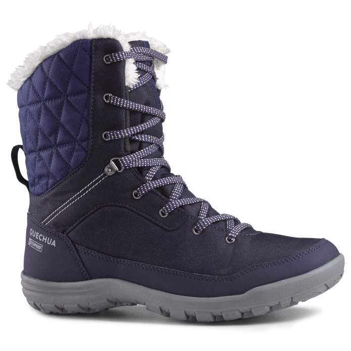 Ботинки Viking Beito GTX Purple