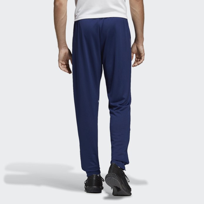 Брюки adidas core18 tr PNT