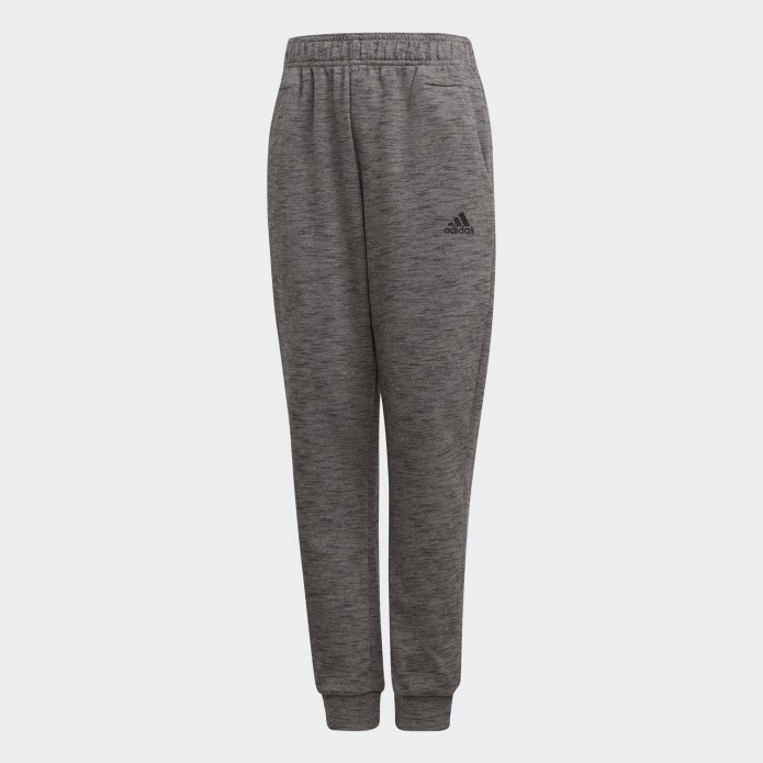 Adidas / брюки core18 pre PNT