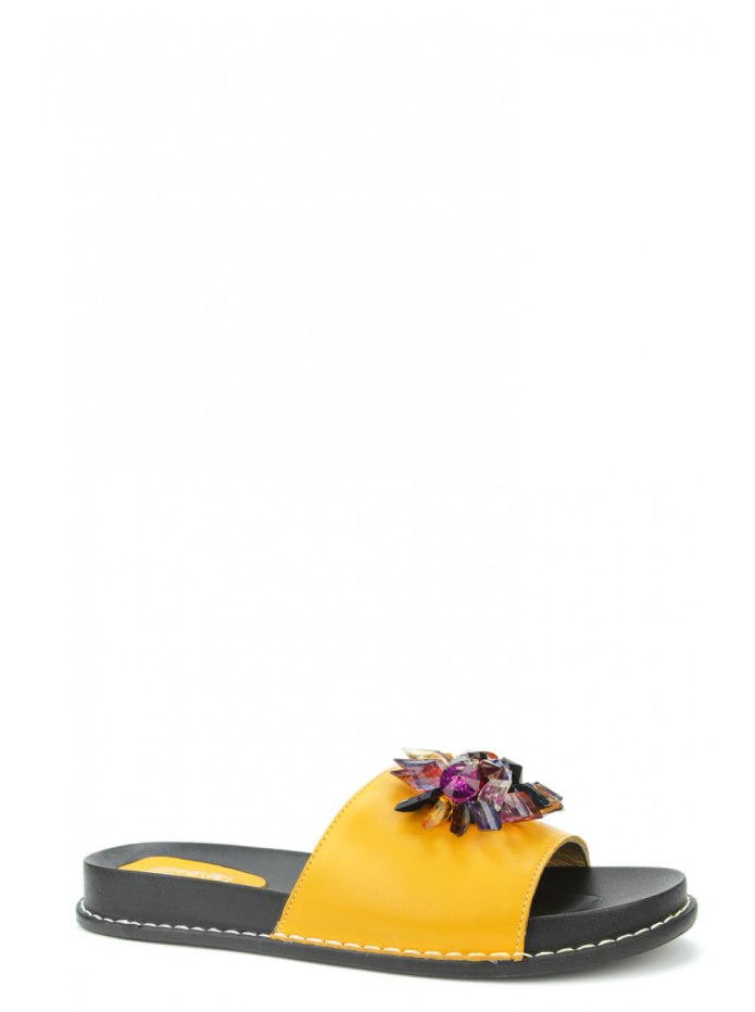 Ascalini w23536