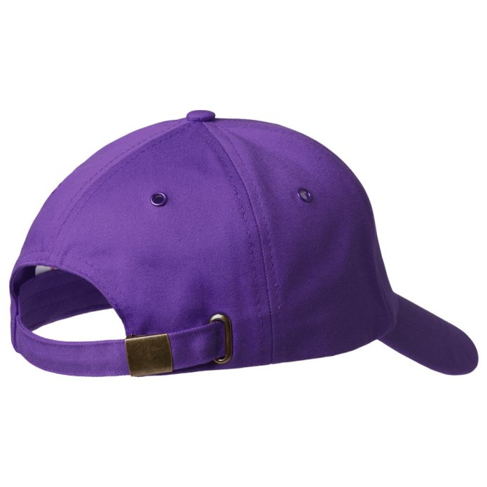 Панама Arcteryx Sinsolo