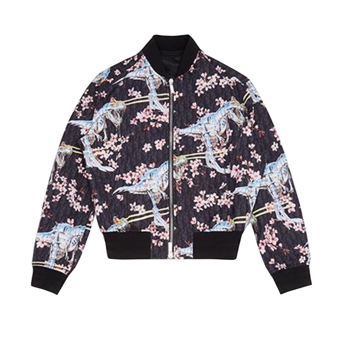 Dior Bomber Jacket
