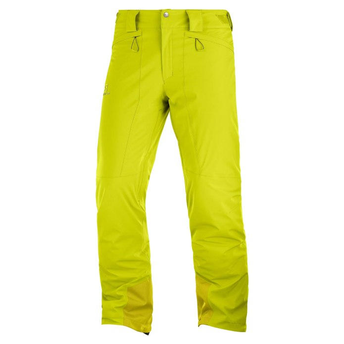 Salomon Icemania Pant m