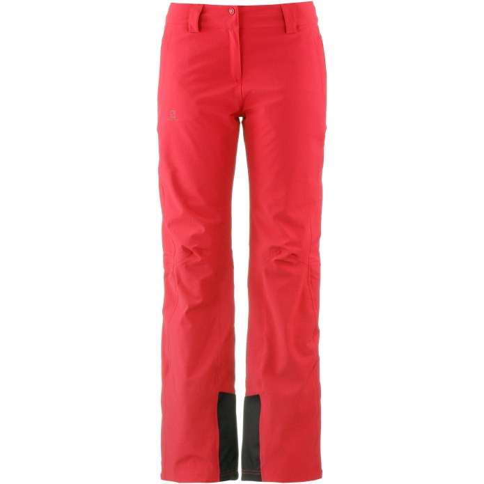 Salomon Icemania Pant w