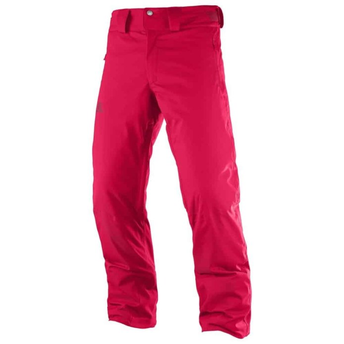 Брюки Salomon Pant m.