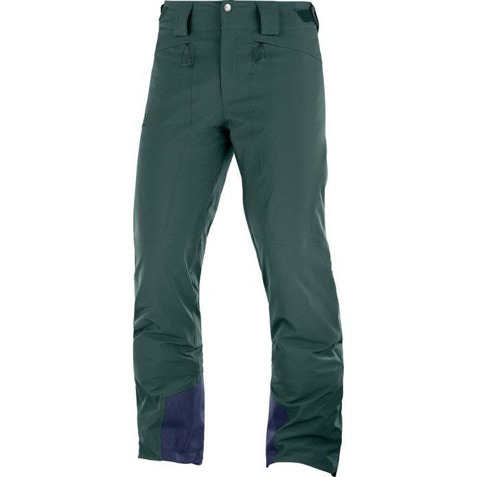 Брюки Salomon Icemania