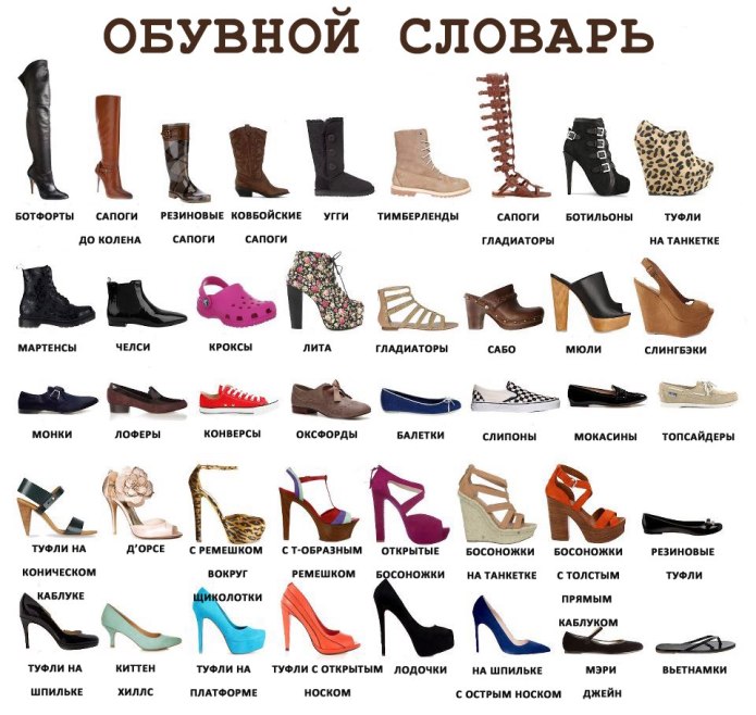 Виды женской обуви названия