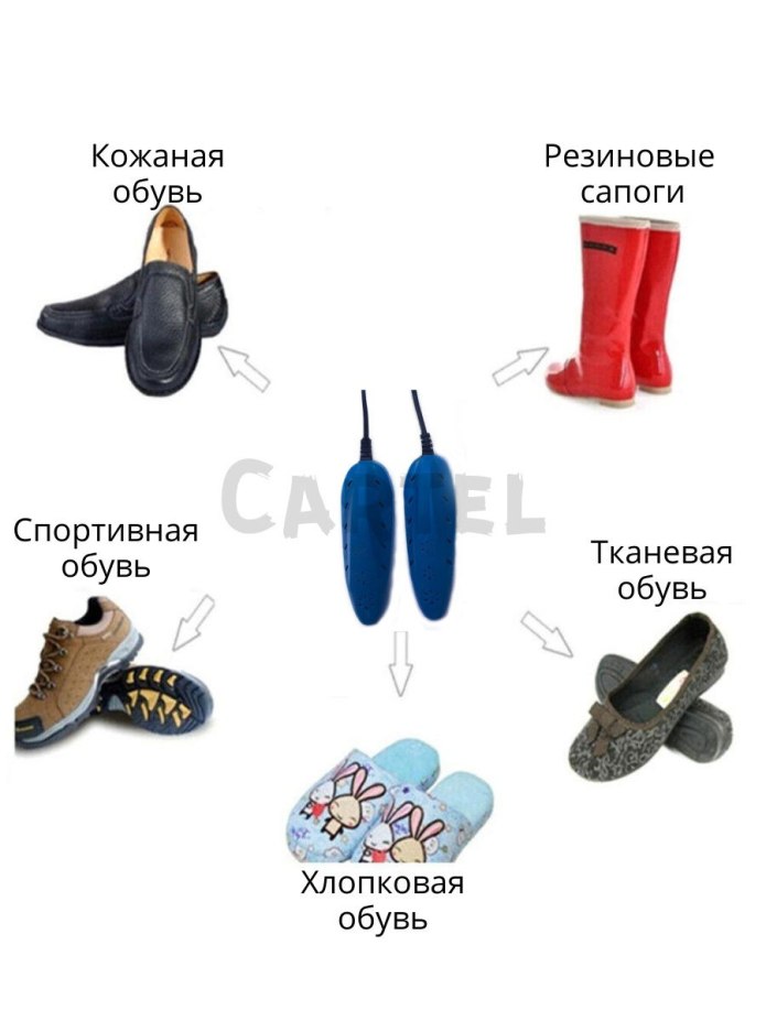 Виды спортивной обуви