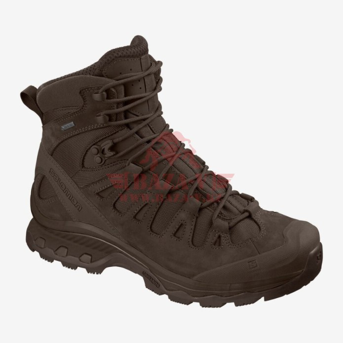 Ботинки Salomon Quest 4d 2 GTX