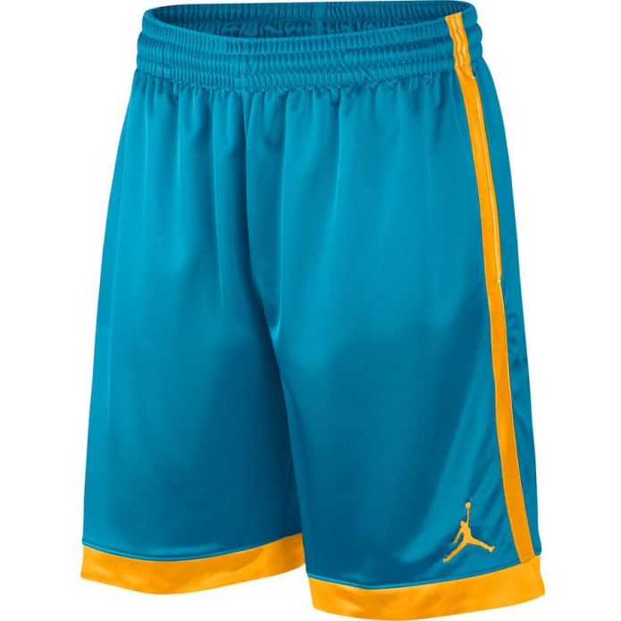 Шорты Jordan Shimmer