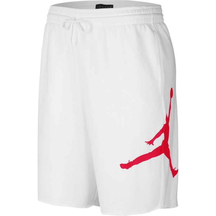 Шорты Nike Air Jordan