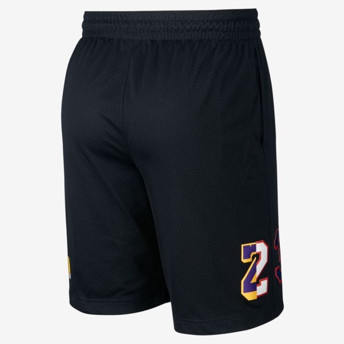 Jordan Sport DNA шорты