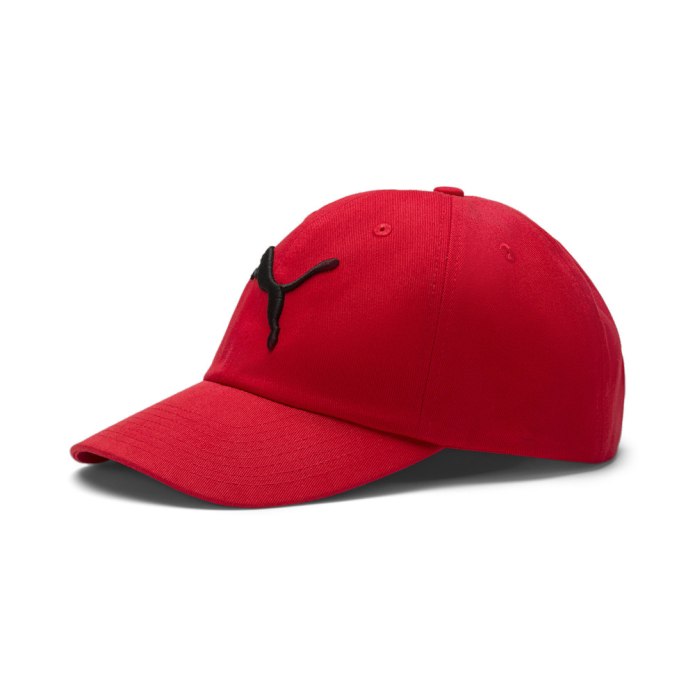 ESS cap II Puma
