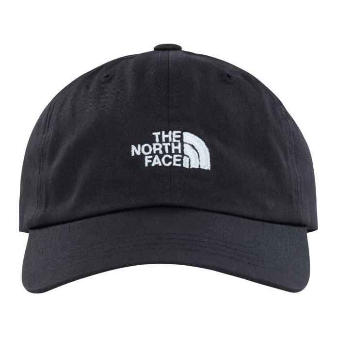 Бейсболка the North face DRYVENT logo