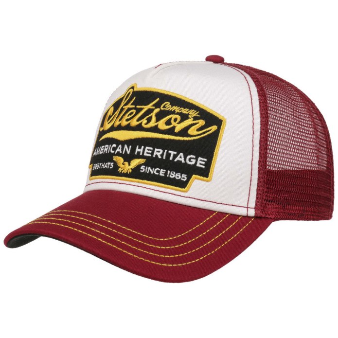Бейсболка Stetson