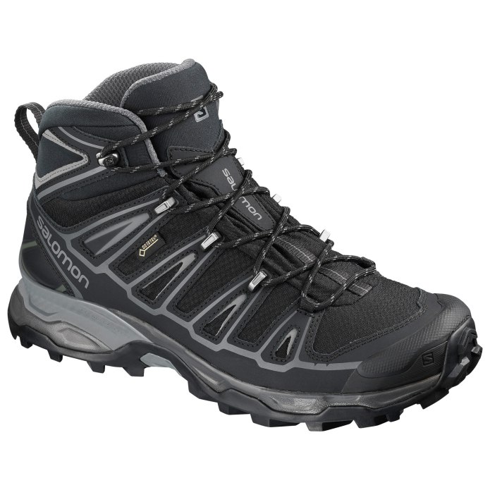 Salomon x Ultra Mid 2 GTX