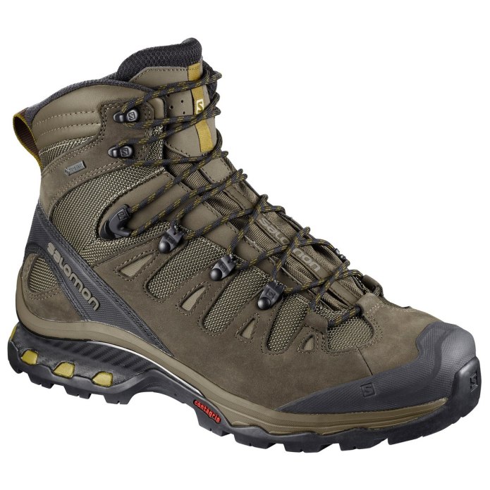 Ботинки Salomon Quest 4d GTX