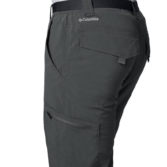 Брюки Silver Ridge Cargo Pant