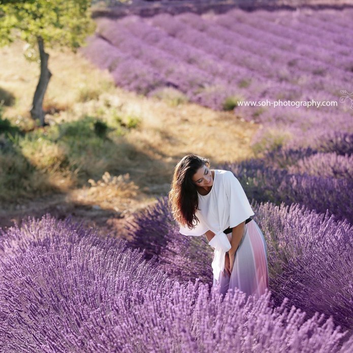 Лаванда (Lavandula) Эстетика