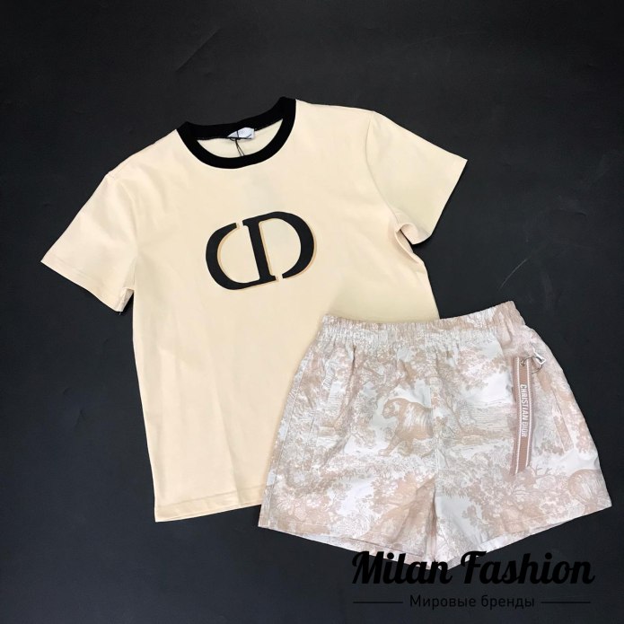 Dior Daniel Arsham футболка
