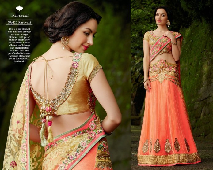 Индийские блузки Чоли