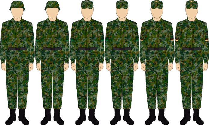 Изображения в военной форме