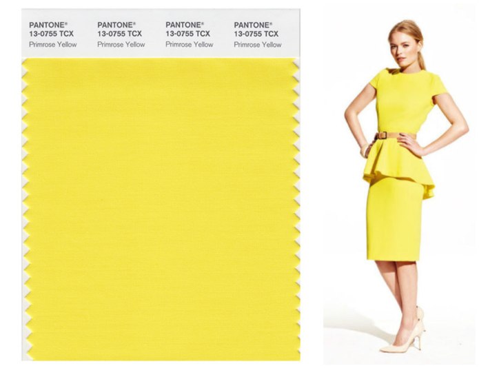 Жёлтый цвнт пантон 2021 13- 0647
