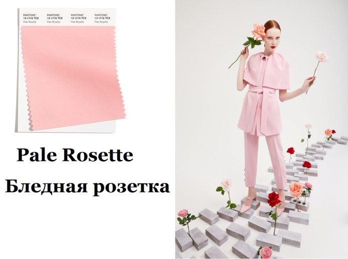 Пантон 2021-2022 палитра осень зима