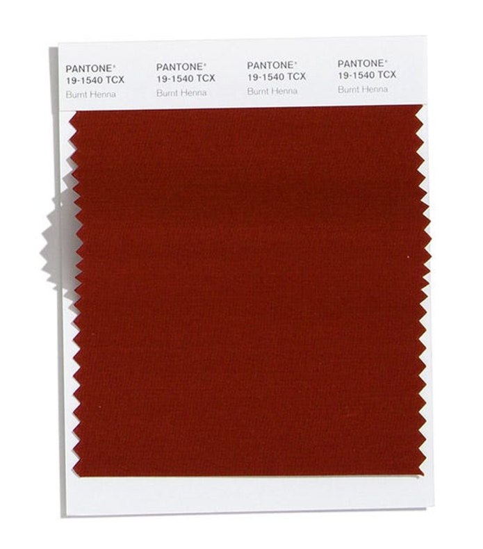 Самба 19-1662 Pantone