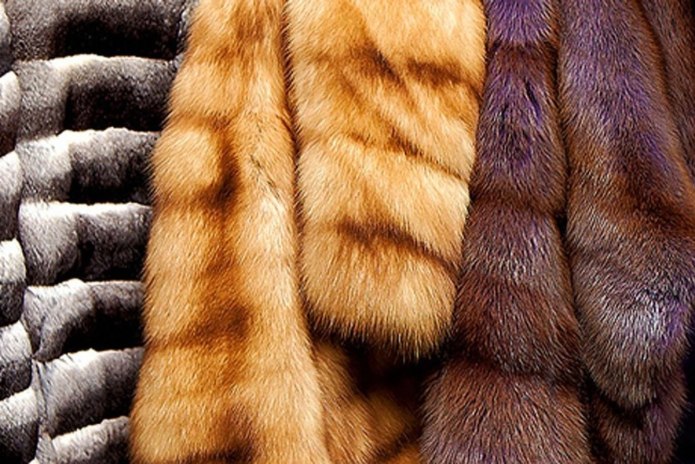 Шуба из соболя модель 7997 Ренессанс