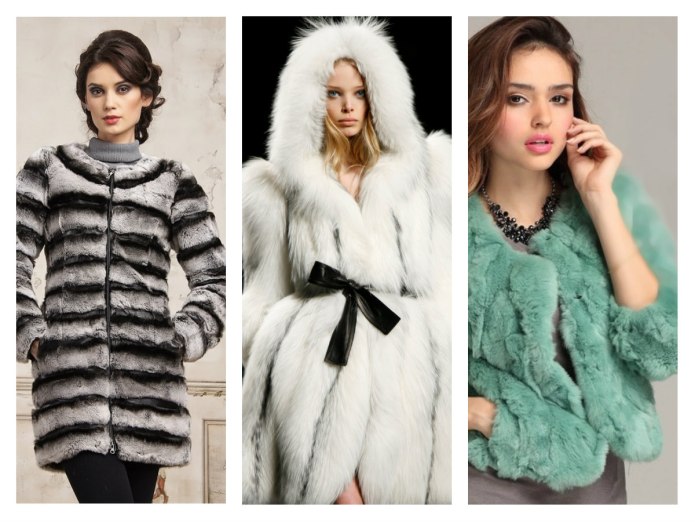 Manzari шиншиллой