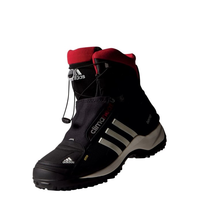 Adidas Terrex 665